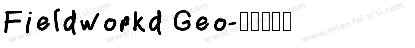 Fieldworkd Geo字体转换